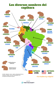 Noticias, humor, deportes y … Libreddit Search Results Flair Name Educacion Academico