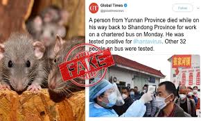 Though rare, hps can be . Fact Check Hantavirus In China Next Outbreak On Door