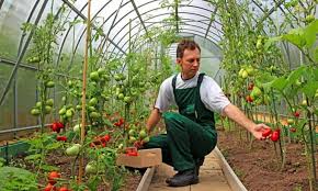 Nov 17, 2019 · conservas el agricultor es una empresa familiar con una larga tradición y experiencia. Diez Maneras De Apoyar A La Nueva Generacion De Agricultores Food Tank