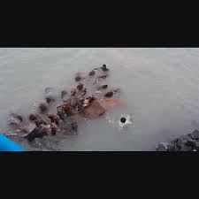 Embrace the Sensation- Roshan Bhabhi Sex Stories- My Debut with Her Seductive Power