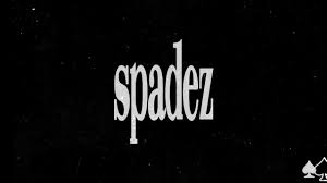 Bird On A Wire Action Bronson Spotify Taio Cruz Break Your Heart Spaaadez Cover Remix Official Youtube