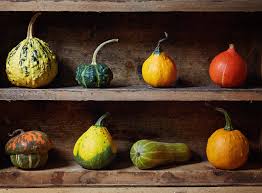 Place them on a wire drying rack for proper air circulation, making sure the gourds do not touch. Can You Eat Gourds Difference Between Gourds Vs Squash Explained Thrillist