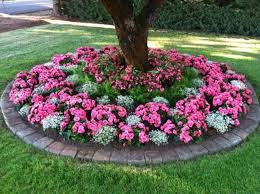 Pin By Janelle Booker On Garden Ideas Front Yard Landscaping Design Landscaping Around Trees Annual Flower Beds