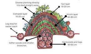 Hugelkultur is a composting method that uses large pieces of rotting wood as the centerpiece for long term humus building decomposition. How To Build Hugelkultur Beds And Why You Need Them New Life On A Homestead