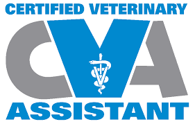 Bildergebnis für CVA