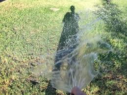 Determine how often to water. Put Down The Hose Back Away Slowly From The Lawn Hand Watering Lawn