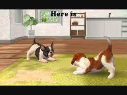 Nintendogs + cats (ニンテンドッグス＋キャッツ, nintendoggusu + kyattsu) es un simulador de crianza de perros de nintendo, esta vez con la posibilidad de . Nintendogs Cats Cheats Tips And Hints Youtube