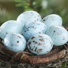 Bird Eggs For Sale Online Speckled Blue Artificial Bird Eggs Birds Butterflies Basic Craft Supplies Craft Supplies Artificial Birds Bird Eggs Crafts