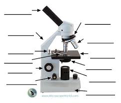 Labeling The Parts Of The Microscopes Including Free Printouts Microscope Parts Microscopic Science Biology