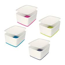 Cutie Pentru Depozitare 18 L Cu Capac Leitz Mybox