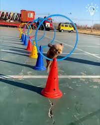 Old Classic Cartoons