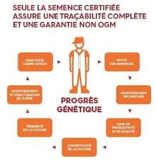 Quoi qu'il en soit, la culture de soja est une catastrophe pour la planète : Forte Progression De La Culture De Soja En France