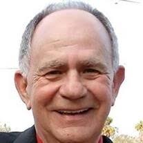 Michael W Lampl Obituary