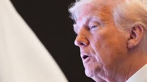 Maggie Canavan's Instagram, Twitter & Facebook