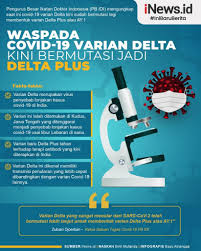 The 22 cases of delta plus have emerged in maharashtra, which has been a kind of epicentre of the known delta coronavirus variant, which plus has mutated from, is highly transmissible and possibly. Infografis Virus Corona Varian Delta Bermutasi Jadi Delta Plus