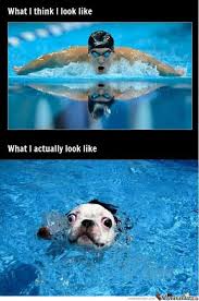 301 Moved Permanently Swimming Funny Swimming Memes Swimming Quotes Funny
