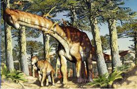 This titanosaur is a really huge animal. Kdu 2hnbbrsc1m