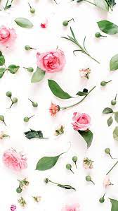 A desktop wallpaper is highly customizable, and you can give yours a personal touch by adding your images (including your photos from a camera) or download beautiful pictures from the internet. Wallpaper Iphone Flower Background Iphone Flower Iphone Wallpaper Flower Phone Wallpaper