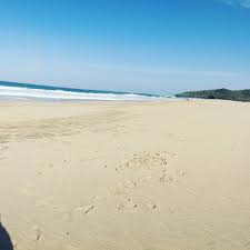 Maybe you would like to learn more about one of these? 10 Gambar Pantai Ujung Genteng Tiket Masuk Lokasi Jam Buka Travelingan Net