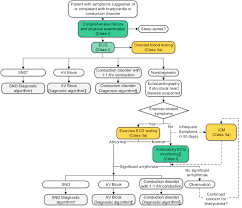 2018 Acc Aha Hrs Guideline On The Evaluation And Management Of Patients With Bradycardia And Cardiac Conduction Delay Heart Rhythm