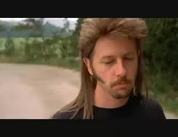 We did not find results for: Top 30 Joe Dirt Im Gifs Find The Best Gif On Gfycat