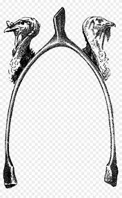 It's turkey time 3 in ark: Thanksgiving Two Turkeys And A Wishbone Turkey Free Transparent Png Clipart Images Download