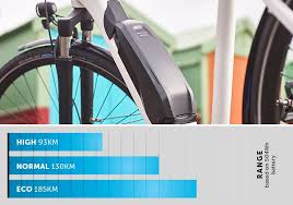 E Bike System E6100 Shimano Steps In 2020 Fahrradmarken E Bike Fahrradcomputer