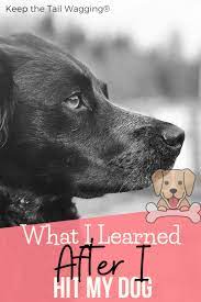 We did not find results for: What I Learned After I Hit My Dog Keep The Tail Wagging