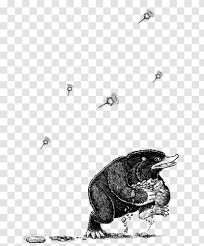 See more ideas about fantastic beasts, beast, drawings. Fantastic Beasts And Where To Find Them Beak Design Bathilda Bagshot Book Transparent Png