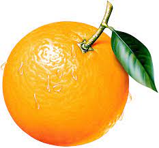 Orange Clipart Images 9 Clip Art Orange Orange Fruit