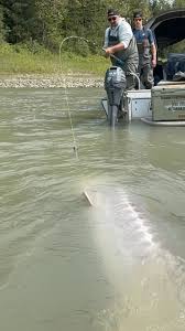 Any guesses how big this one...