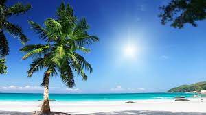 Nature Colorful 4k Wallpaper Beach Wallpaper Beach Sunny Beach