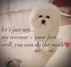 Image result for tbn:ANd9GcRQv4c2mV1wX5mYfUdrcLncYAn4iSxOWfC9Lh0wEBI1ROmnQ4sGgE1qG1E:http://s52.radikal.ru/i137/0906/9f/d603f06a1aac.jpg