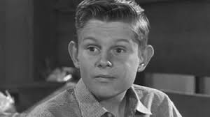 The Real McCoys: Season 4, Episode 22