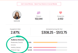 With average credit card interest rates currently ranging from about 13% to 23%. Influencer Rates How Much Do Influencers Really Cost In 2021