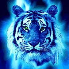 Awesome Animated Animals Animals Big Cats Art