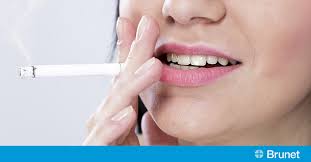 Ce service gratuit de google traduit instantanément des mots, des expressions et des pages web du français vers plus de 100 autres langues. Les Mefaits De La Fumee Secondaire Brunet