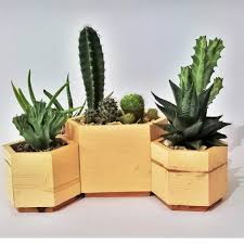 Promo pot mini kaktus dan sukulen bahan keramik motif batu kerikil handmade. Paling Diminati Pot Kayu Unik Sukulen Pot Kecil Pot Kaktus B02 Shopee Indonesia