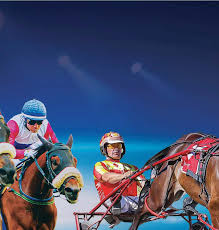 MID-WEEK 6 - 8 AUGUST