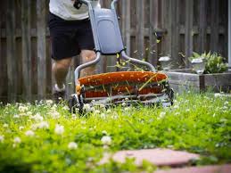 $75 (yukon) pic hide this posting restore restore this posting. 7 Best Reel Mowers For Your Lawn In 2021 Epic Gardening