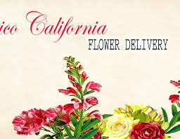 Bonita flowers & gifts, your trusted local florist in mcallen, offers professionally designed flower arrangements and floral gifts to fit any occasion. The 8 Best Options For Flower Delivery In Mcallen Texas 2021