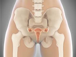 Back pain during pregnancy typically takes the form of aches, stiffness and soreness in the upper or lower back and hips that can sometimes extend into the legs and buttocks. Postpartum Back Pain How To Get Relief Babycenter