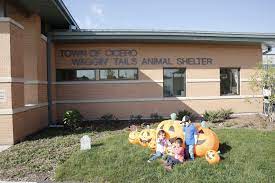 Click here to view animals for adoption at waggin' tails. ♥ rescue me! Waggin Tails Animal Shelter Unveils New Location Town Of Cicero Il