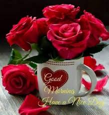 Check spelling or type a new query. Sfondi Bellissimo Sfondo Per Whatsapp Gratuiti Download Sfondi Bellissimo Sfondo Per Whatsapp Wallpaperuse 1