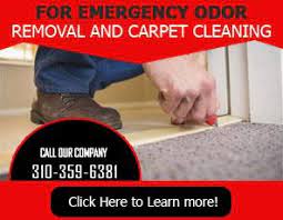 If you are in or around culver our dedication is to improving and cleaning homes and places of business throughout the culver city, california area. Carpet Cleaning Culver City Ca 310 359 6381 Rug Upholstery