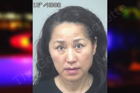 Ping Du — Gwinnett County Jail Bookings