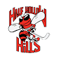 Away Game AT Half Hollow Hills MS event image