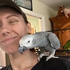 As we wrap up Athletic Training Month, we wanted to recognize our  hardworking, compassionate staff of Certified Athletic Trainers. Each is  here to make sure you and your student-athletes can get back