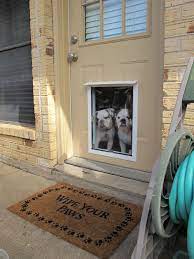 Austin pet door installation for home or office improvements & repairs + landscaping. Welcome Pet Independence Pet Doors In Austin Houston Los Angeles Orange County San Diego Sacramento Sf Bay Area Pet Independence Pet Doors In Austin Houston Los Angeles Orange County San