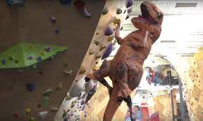 A good sense of humor about rock climbing is healthy. 21 Climbing Puns That Are Really Going To Rock Your